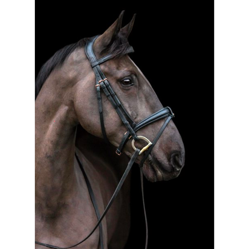EcoRider Rose Gold Ecolux Bridle - Black-1